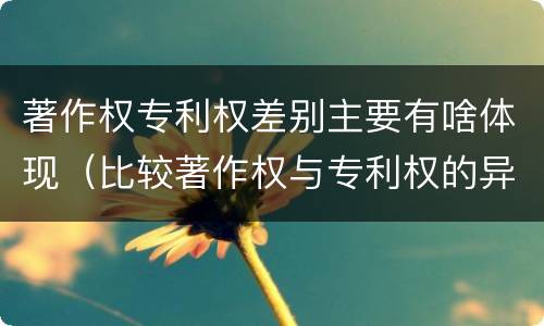 著作权专利权差别主要有啥体现（比较著作权与专利权的异同）