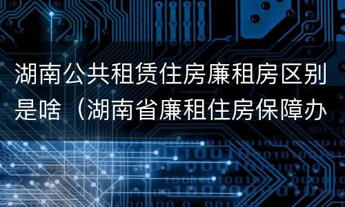 湖南公共租赁住房廉租房区别是啥（湖南省廉租住房保障办法）