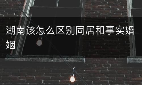 湖南该怎么区别同居和事实婚姻