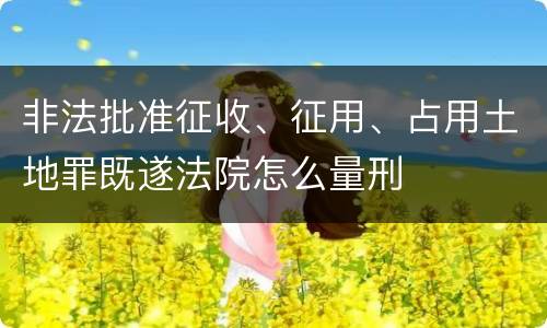 非法批准征收、征用、占用土地罪既遂法院怎么量刑