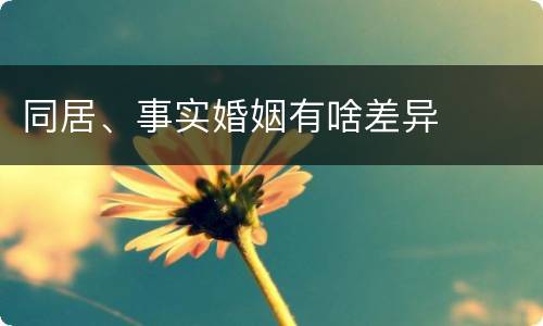 同居、事实婚姻有啥差异