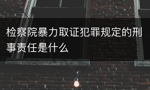 检察院暴力取证犯罪规定的刑事责任是什么