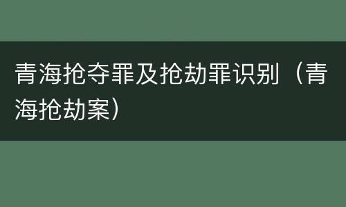 青海抢夺罪及抢劫罪识别（青海抢劫案）