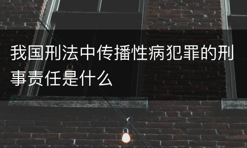 我国刑法中传播性病犯罪的刑事责任是什么