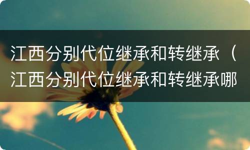 江西分别代位继承和转继承（江西分别代位继承和转继承哪个好）