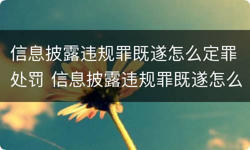 信息披露违规罪既遂怎么定罪处罚 信息披露违规罪既遂怎么定罪处罚