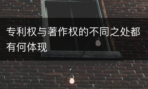 专利权与著作权的不同之处都有何体现