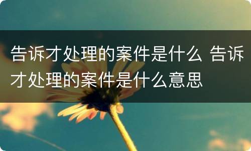 告诉才处理的案件是什么 告诉才处理的案件是什么意思