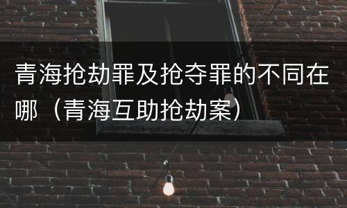 青海抢劫罪及抢夺罪的不同在哪（青海互助抢劫案）