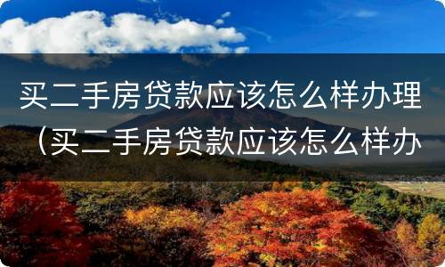 买二手房贷款应该怎么样办理（买二手房贷款应该怎么样办理手续）