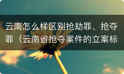 云南怎么样区别抢劫罪、抢夺罪（云南省抢夺案件的立案标准）