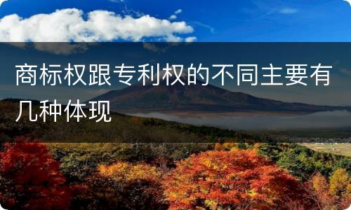 商标权跟专利权的不同主要有几种体现