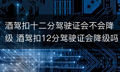 酒驾扣十二分驾驶证会不会降级 酒驾扣12分驾驶证会降级吗