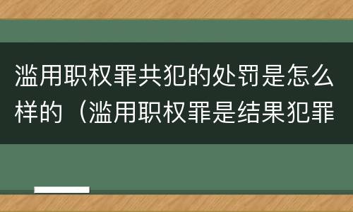 滥用职权罪共犯的处罚是怎么样的（滥用职权罪是结果犯罪吗）