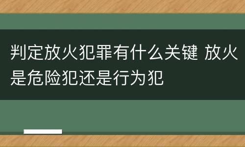 判定放火犯罪有什么关键 放火是危险犯还是行为犯