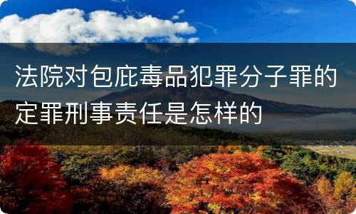 法院对包庇毒品犯罪分子罪的定罪刑事责任是怎样的