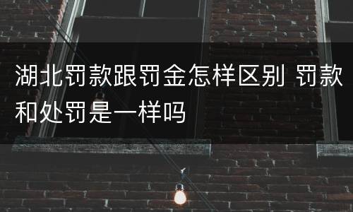 湖北罚款跟罚金怎样区别 罚款和处罚是一样吗