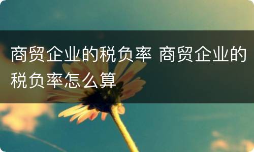 商贸企业的税负率 商贸企业的税负率怎么算