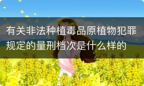 有关非法种植毒品原植物犯罪规定的量刑档次是什么样的