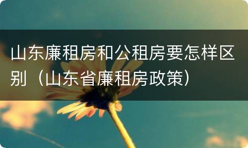 山东廉租房和公租房要怎样区别（山东省廉租房政策）