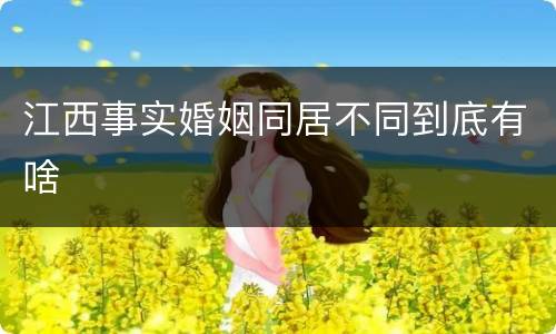 江西事实婚姻同居不同到底有啥
