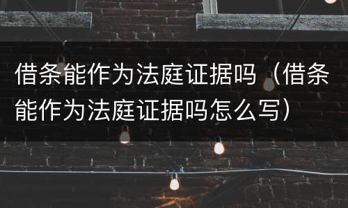 借条能作为法庭证据吗（借条能作为法庭证据吗怎么写）