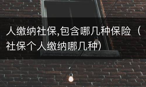 人缴纳社保,包含哪几种保险（社保个人缴纳哪几种）