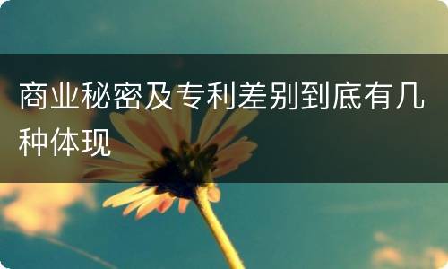 商业秘密及专利差别到底有几种体现