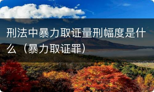 刑法中暴力取证量刑幅度是什么（暴力取证罪）