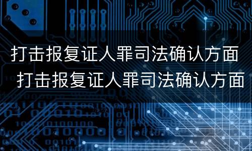 打击报复证人罪司法确认方面 打击报复证人罪司法确认方面的规定