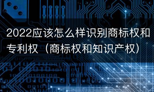 2022应该怎么样识别商标权和专利权（商标权和知识产权）