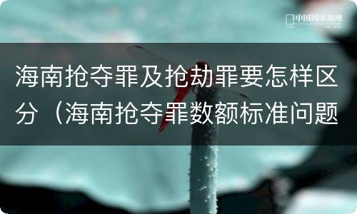 海南抢夺罪及抢劫罪要怎样区分（海南抢夺罪数额标准问题的规定）