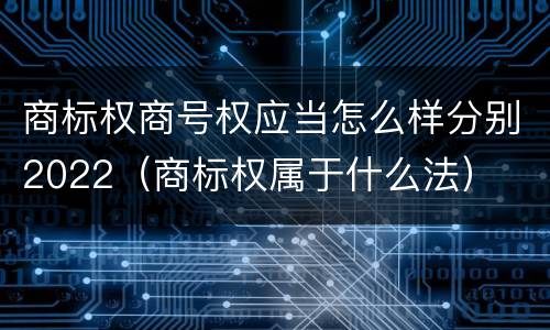 商标权商号权应当怎么样分别2022（商标权属于什么法）