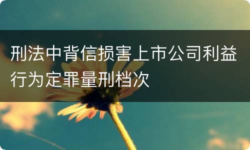 刑法中背信损害上市公司利益行为定罪量刑档次