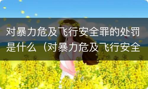 对暴力危及飞行安全罪的处罚是什么（对暴力危及飞行安全罪的处罚是什么意思）