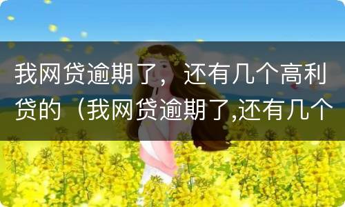 我网贷逾期了，还有几个高利贷的（我网贷逾期了,还有几个高利贷的人）