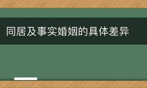 同居及事实婚姻的具体差异