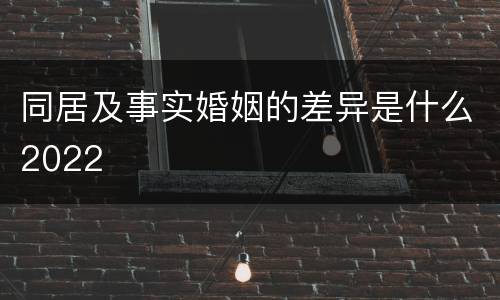 同居及事实婚姻的差异是什么2022