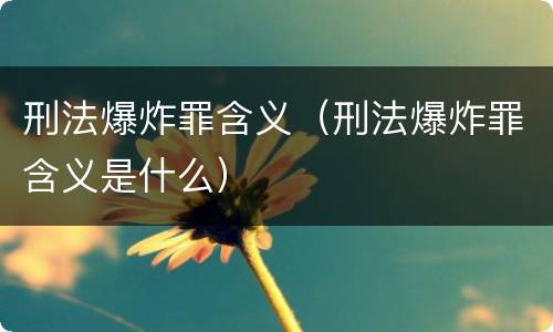 刑法爆炸罪含义（刑法爆炸罪含义是什么）