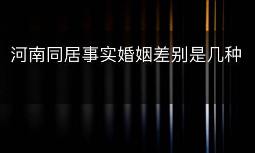 河南同居事实婚姻差别是几种