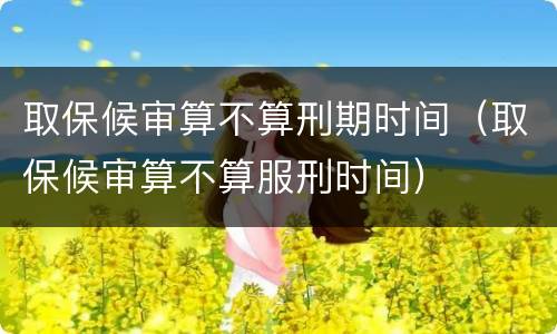 取保候审算不算刑期时间（取保候审算不算服刑时间）