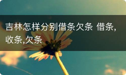 吉林怎样分别借条欠条 借条,收条,欠条