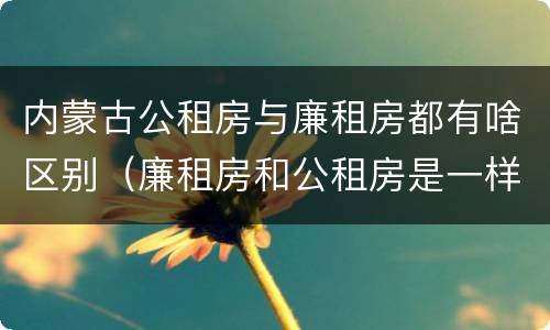 内蒙古公租房与廉租房都有啥区别（廉租房和公租房是一样的吗）