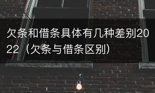 欠条和借条具体有几种差别2022（欠条与借条区别）