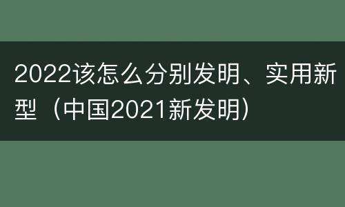 2022该怎么分别发明、实用新型（中国2021新发明）