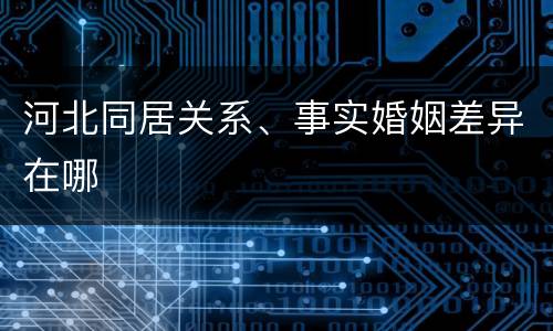 河北同居关系、事实婚姻差异在哪