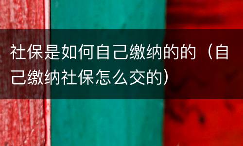 社保是如何自己缴纳的的（自己缴纳社保怎么交的）