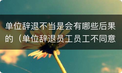 单位辞退不当是会有哪些后果的（单位辞退员工员工不同意怎么办）