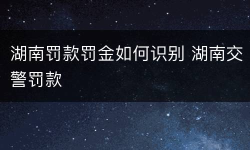 湖南罚款罚金如何识别 湖南交警罚款