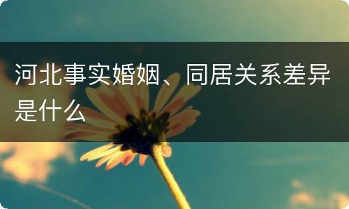 河北事实婚姻、同居关系差异是什么